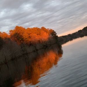 Meet your Posher, Raul